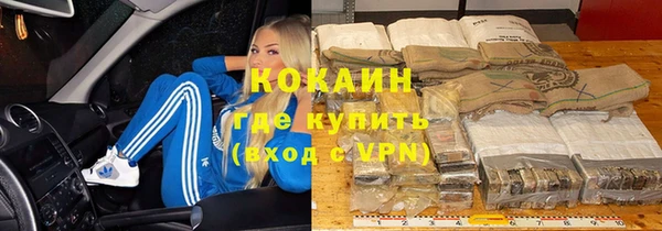 герыч Алексин