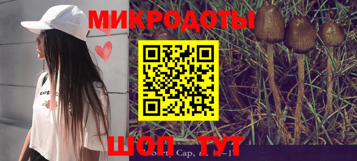 Псилоцибиновые грибы мухоморы  Вход с VPN  где найти наркотики  Галлюциногенные грибы мицелий  Якутск 